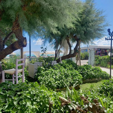 Giardino fronte mare Hotel Eliseo