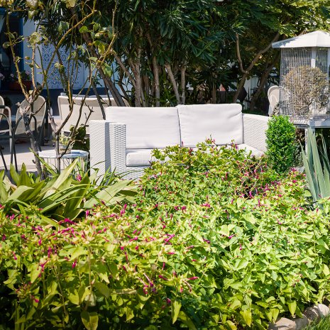 Giardino Hotel Eliseo