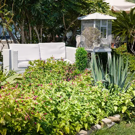 Giardino Hotel Eliseo Giardino Hotel Eliseo