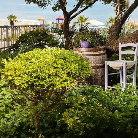 Giardino Hotel Eliseo Giardino Hotel Eliseo