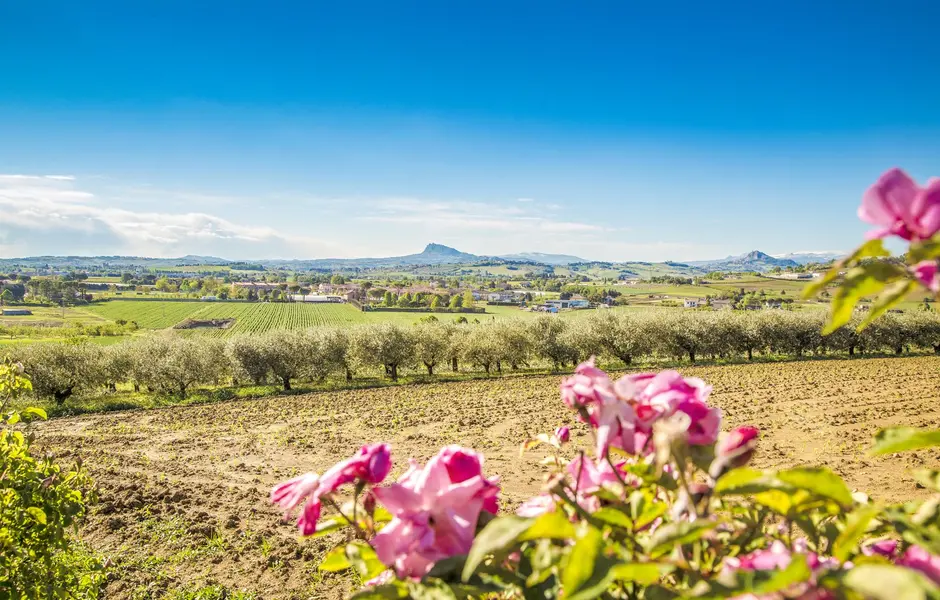 Il "Nastro Fiorito" della Pasqua